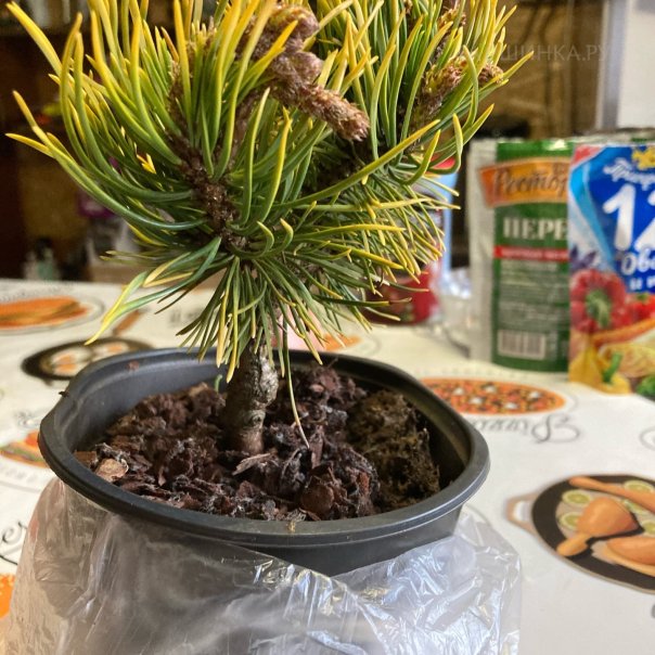 превью изображения отзыва