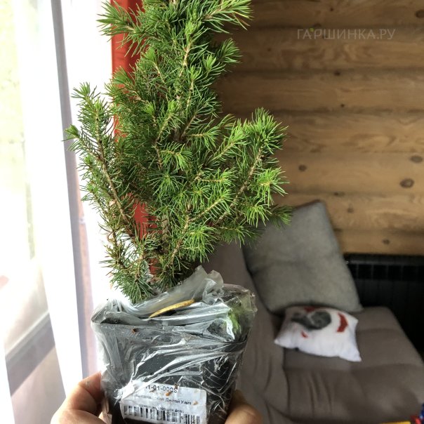 превью изображения отзыва