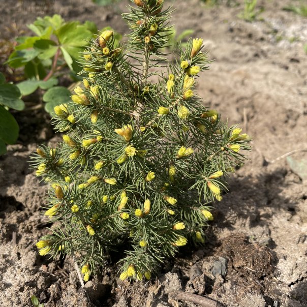 превью изображения отзыва