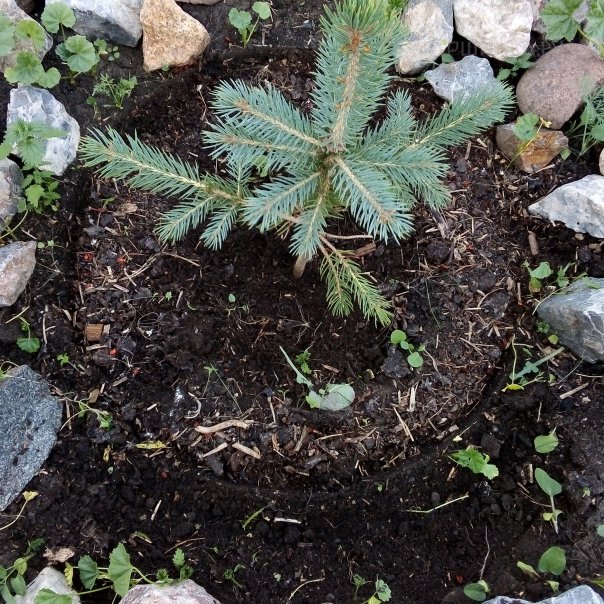 превью изображения отзыва