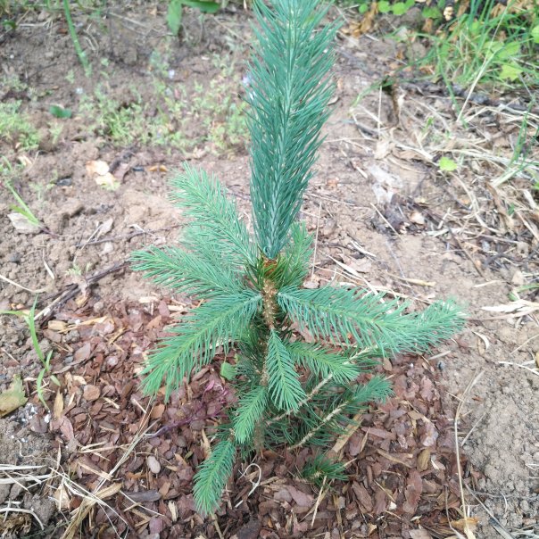 превью изображения отзыва