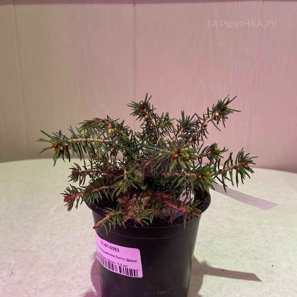 превью изображения отзыва