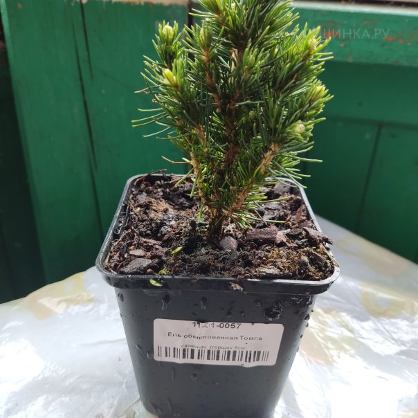 превью изображения отзыва