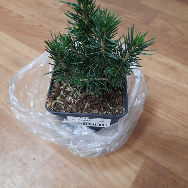 превью изображения отзыва