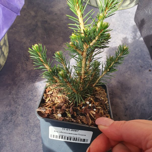 превью изображения отзыва