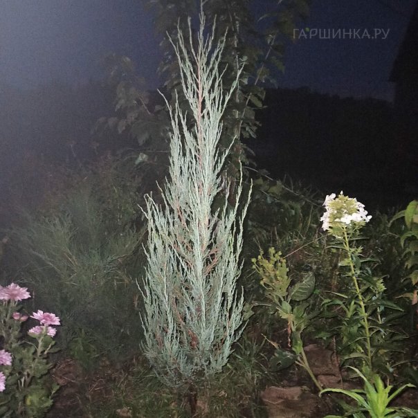 превью изображения отзыва