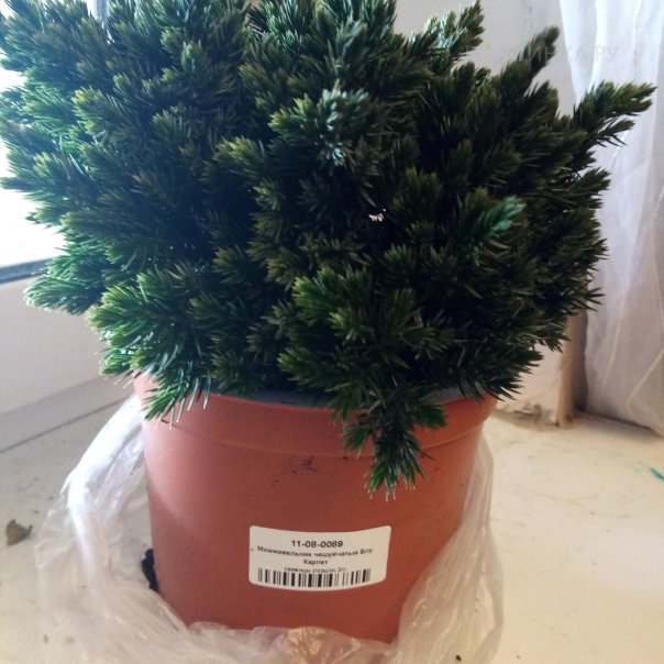 превью изображения отзыва