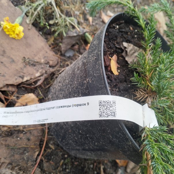 превью изображения отзыва