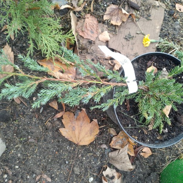 превью изображения отзыва