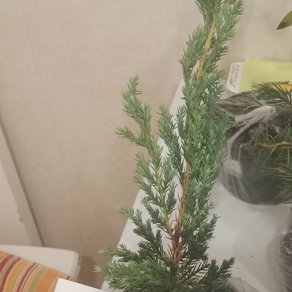 превью изображения отзыва