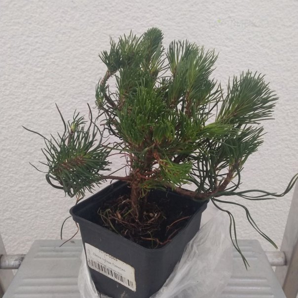 превью изображения отзыва