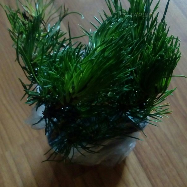 превью изображения отзыва