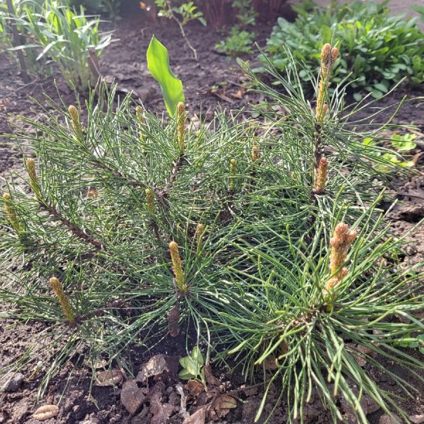 превью изображения отзыва