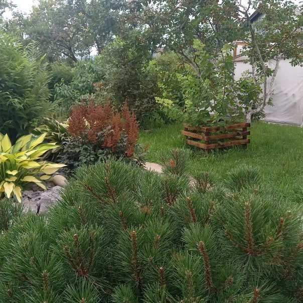 превью изображения отзыва