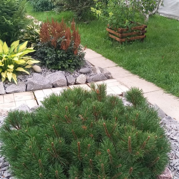 превью изображения отзыва