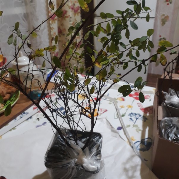 превью изображения отзыва