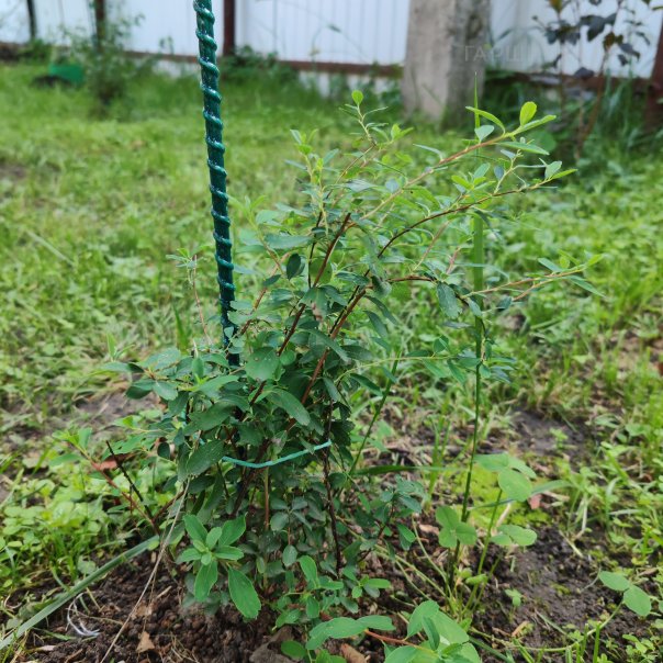 превью изображения отзыва