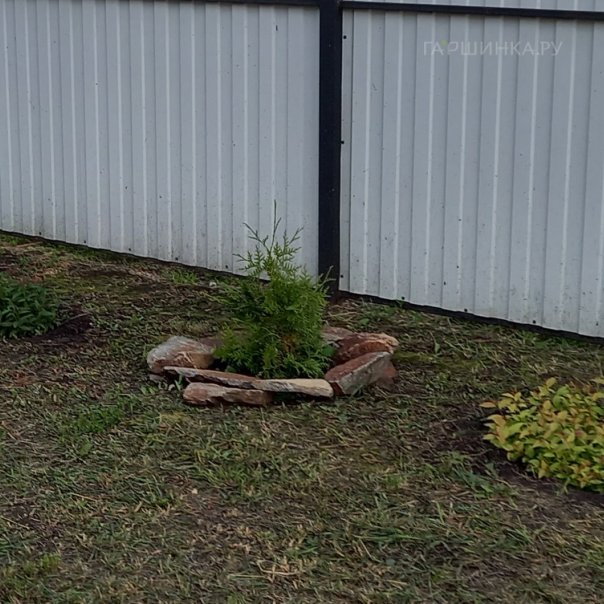 превью изображения отзыва