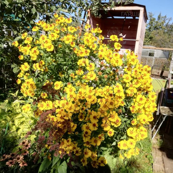 превью изображения отзыва