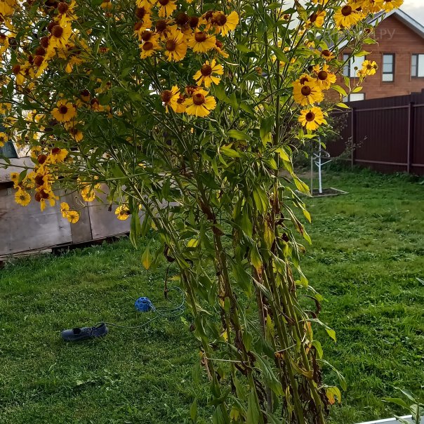 превью изображения отзыва