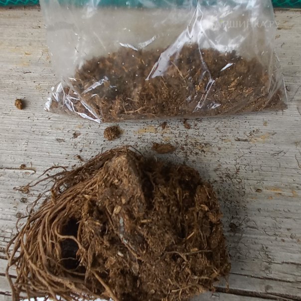 превью изображения отзыва