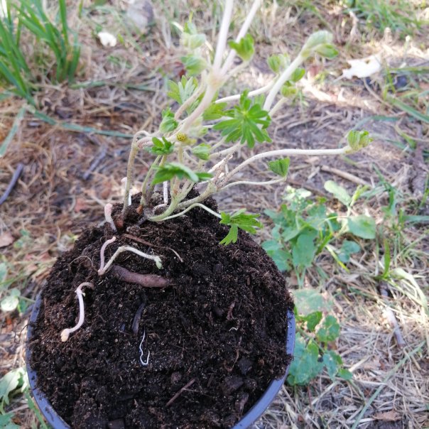 превью изображения отзыва