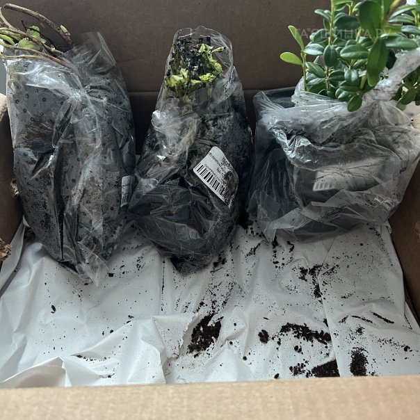 превью изображения отзыва