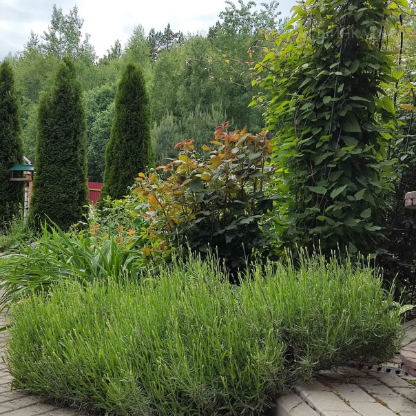 превью изображения отзыва