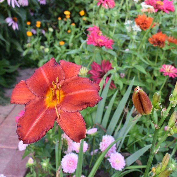 превью изображения отзыва