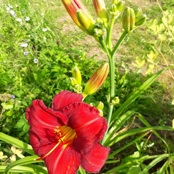 превью изображения отзыва