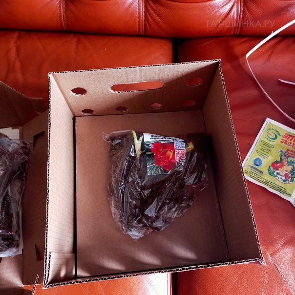 превью изображения отзыва