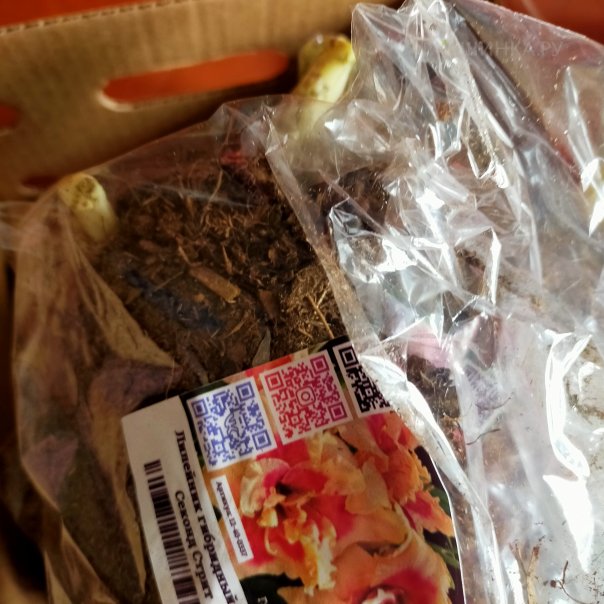 превью изображения отзыва