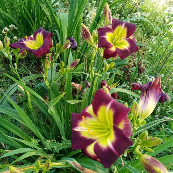 превью изображения отзыва