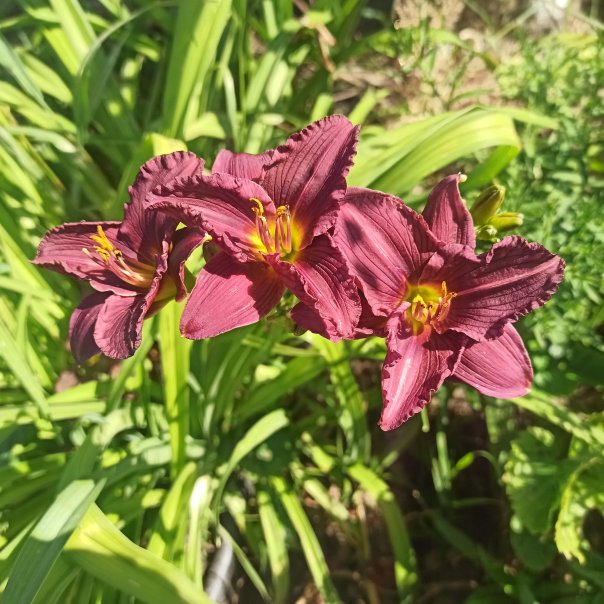 превью изображения отзыва