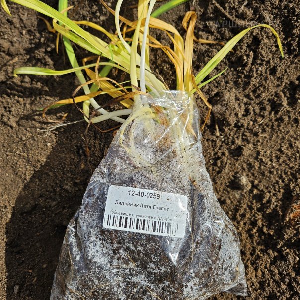 превью изображения отзыва