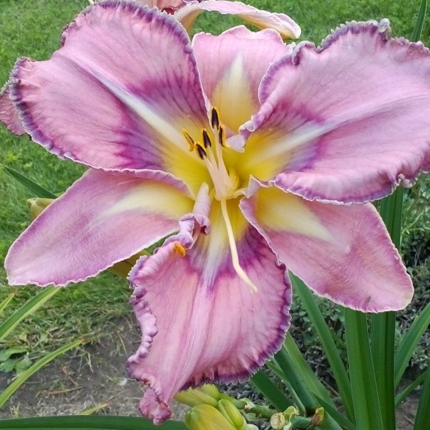 превью изображения отзыва