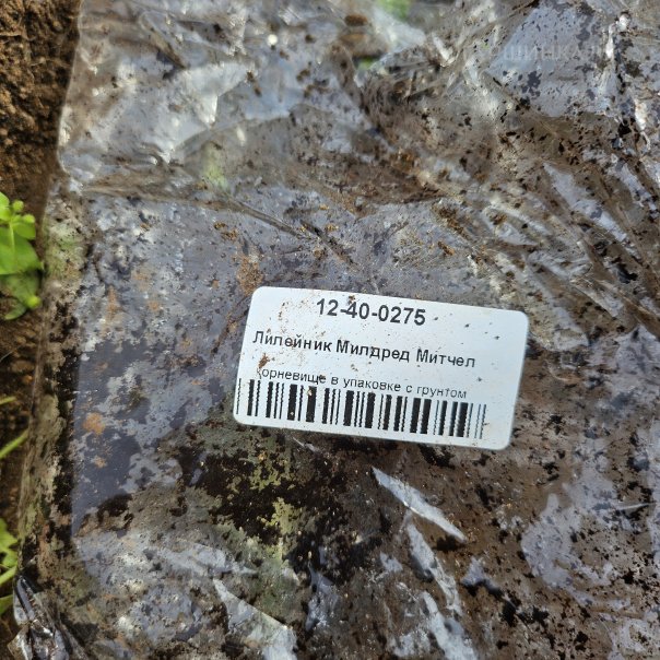 превью изображения отзыва