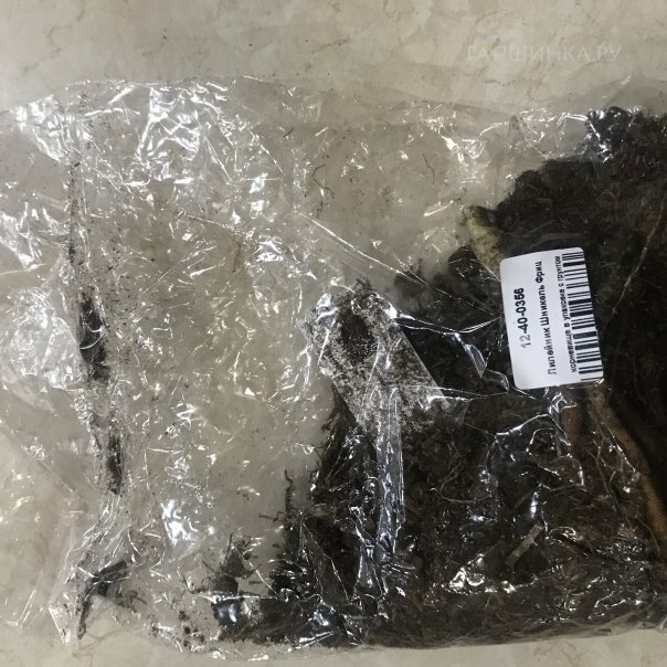 превью изображения отзыва