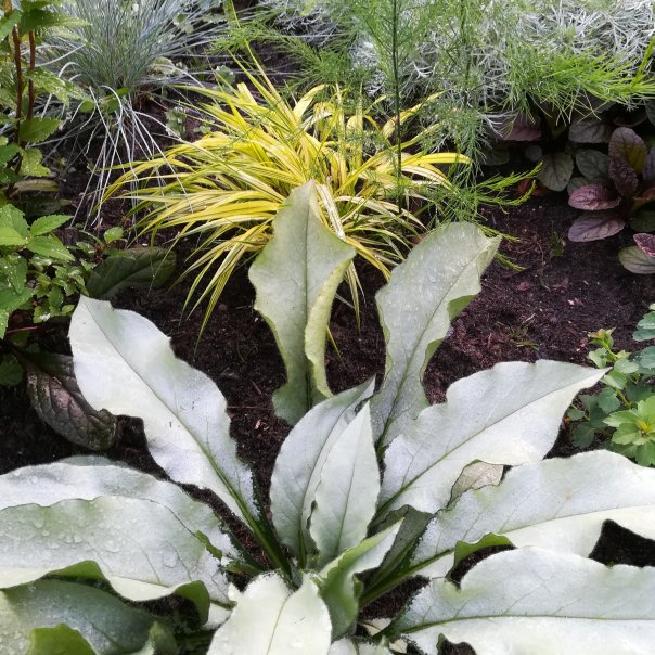 превью изображения отзыва