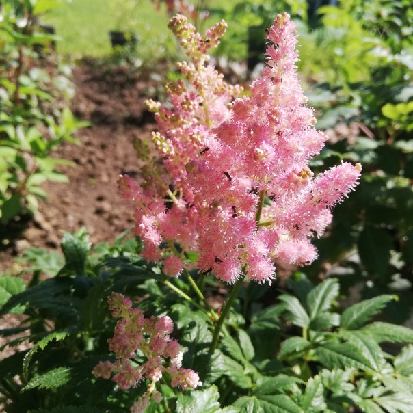 превью изображения отзыва