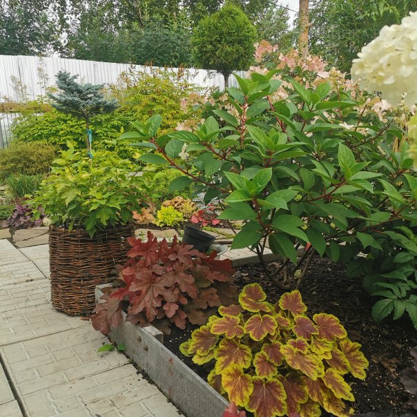 превью изображения отзыва