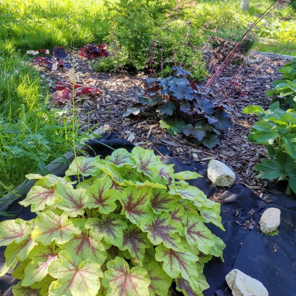 превью изображения отзыва