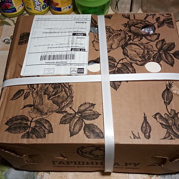 превью изображения отзыва