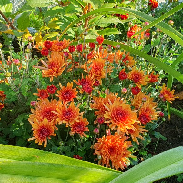 превью изображения отзыва