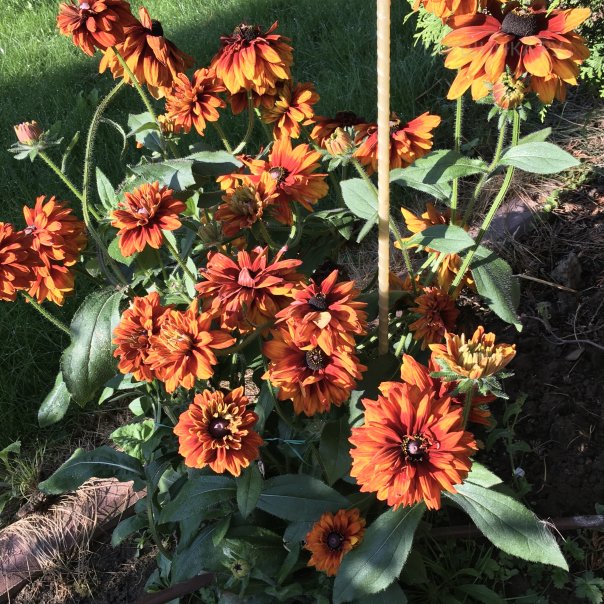 превью изображения отзыва