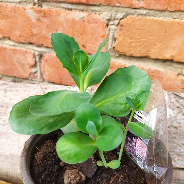 превью изображения отзыва