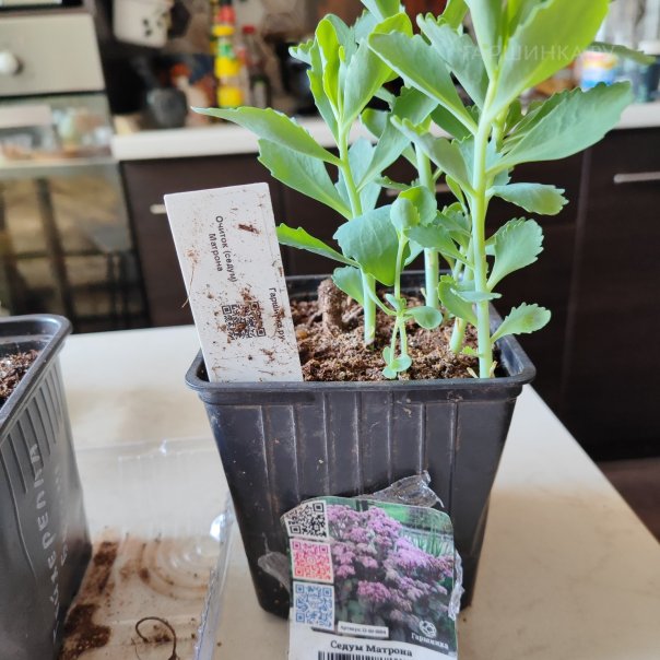 превью изображения отзыва