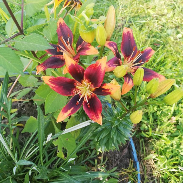 превью изображения отзыва