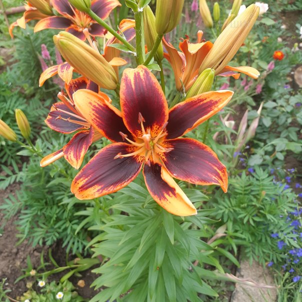 превью изображения отзыва