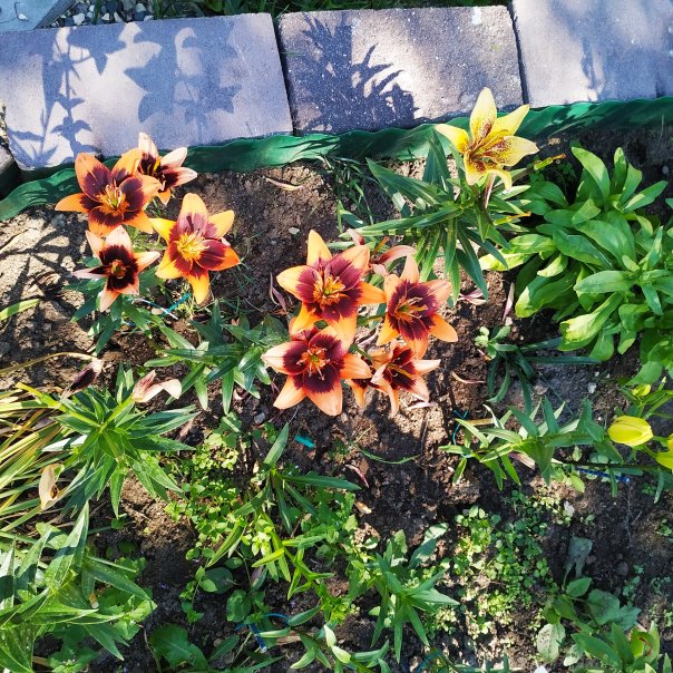 превью изображения отзыва